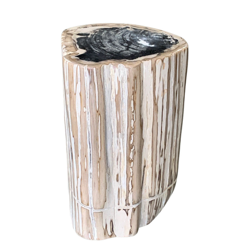 Petrified Wood Stump - Berbere Imports