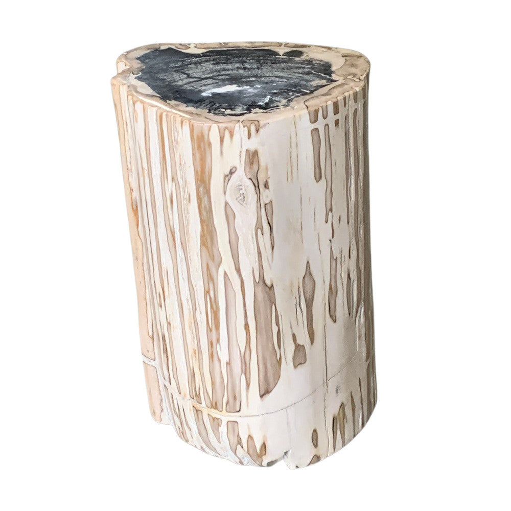 Petrified Wood Stump - Berbere Imports