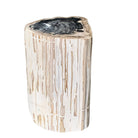 Petrified Wood Stump - Berbere Imports