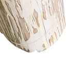Petrified Wood Stump - Berbere Imports