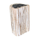 Petrified Wood Stump - Berbere Imports