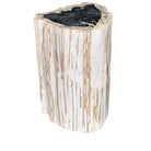 Petrified Wood Stump - Berbere Imports