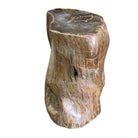 Petrified Wood Stump - Berbere Imports