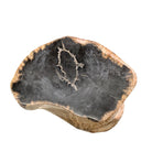 Petrified Wood Stump - Berbere Imports