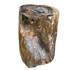 Petrified Wood Stump - Berbere Imports