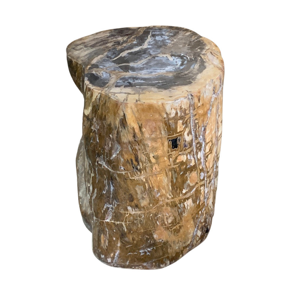 Petrified Wood Stump - Berbere Imports