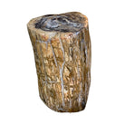 Petrified Wood Stump - Berbere Imports