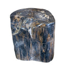 Petrified Wood Stump - Berbere Imports