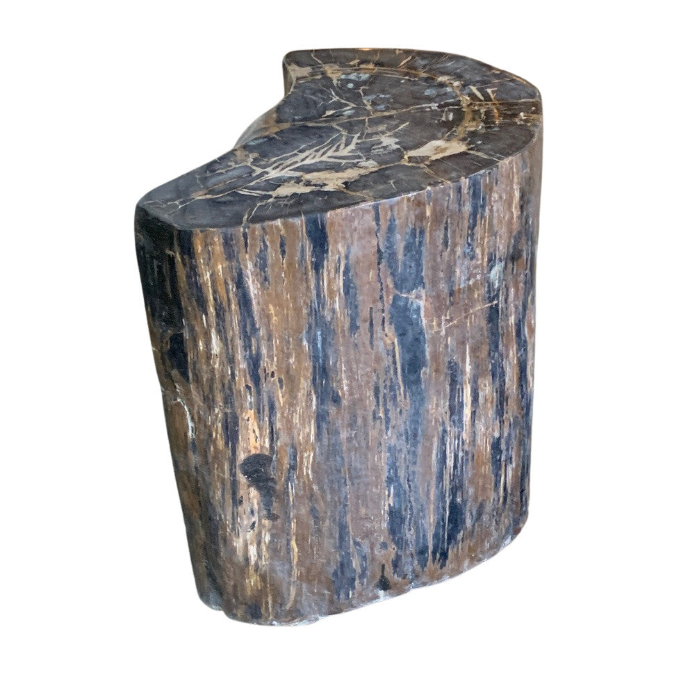 Petrified Wood Stump - Berbere Imports