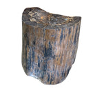 Petrified Wood Stump - Berbere Imports