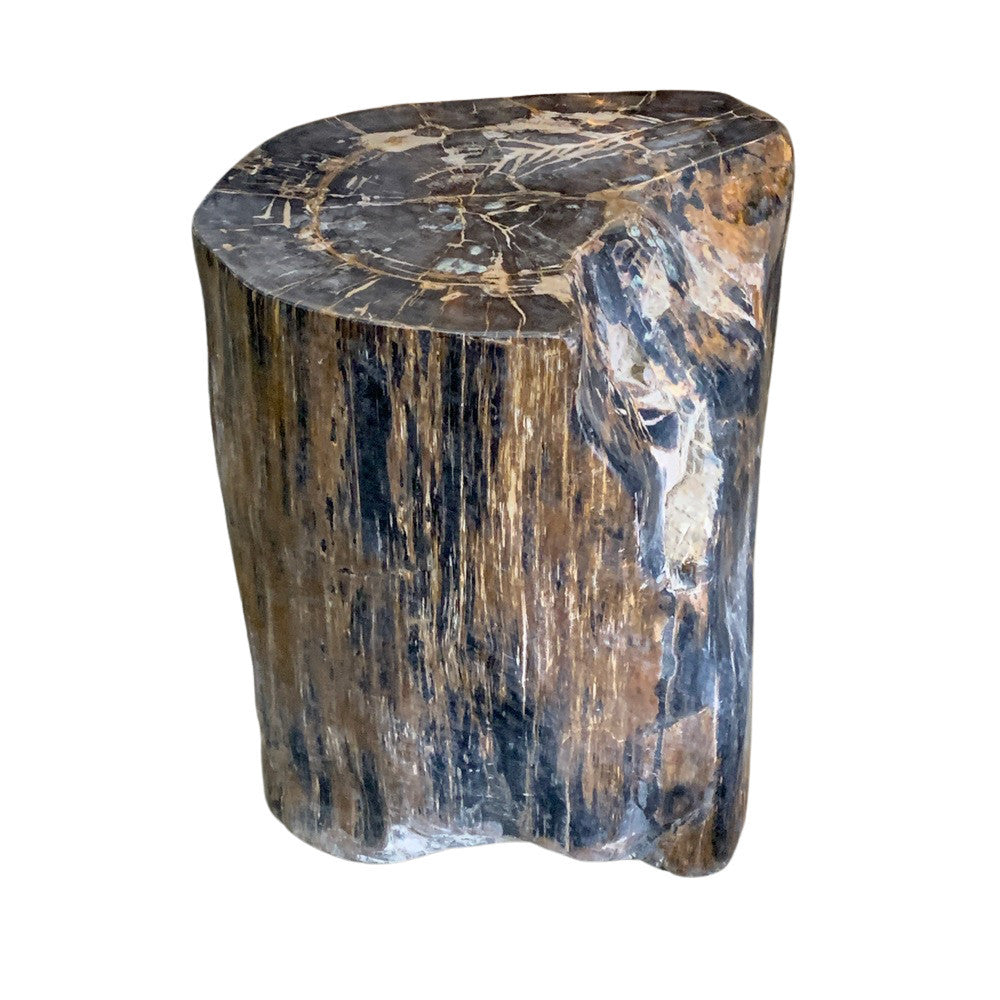 Petrified Wood Stump - Berbere Imports