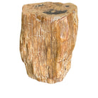 Petrified Wood Stump - Berbere Imports