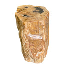 Petrified Wood Stump - Berbere Imports