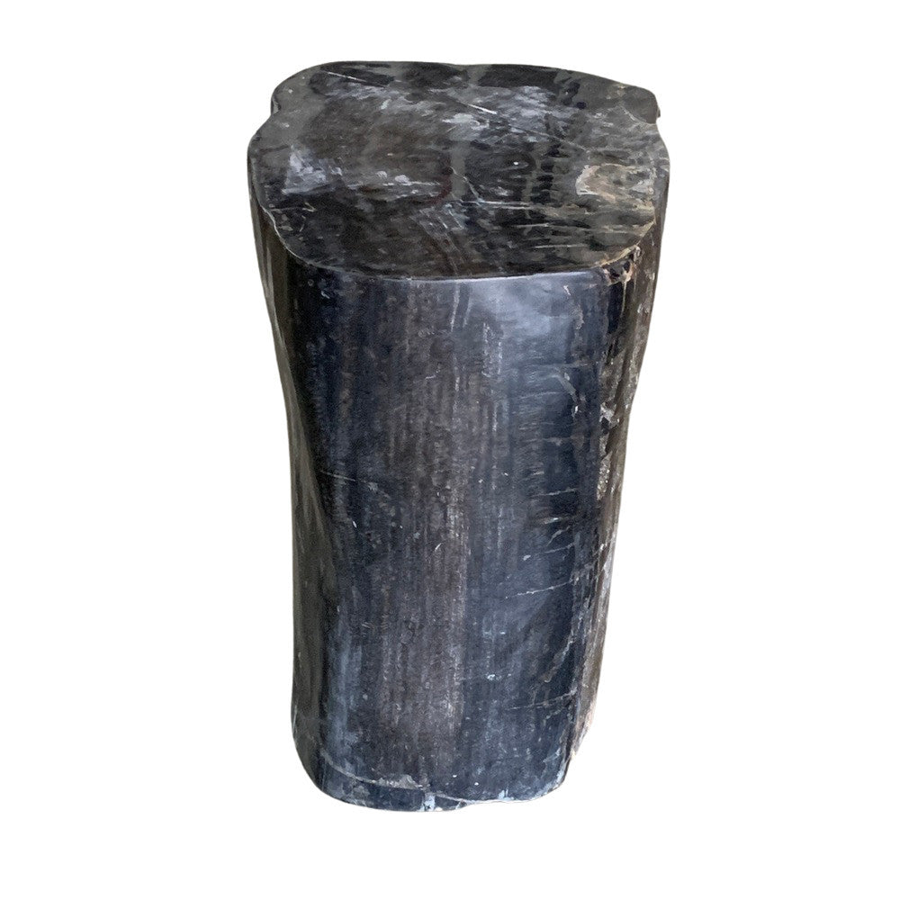 Petrified Wood Stump - Berbere Imports