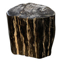 Petrified Wood Stump - Berbere Imports