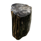 Petrified Wood Stump - Berbere Imports