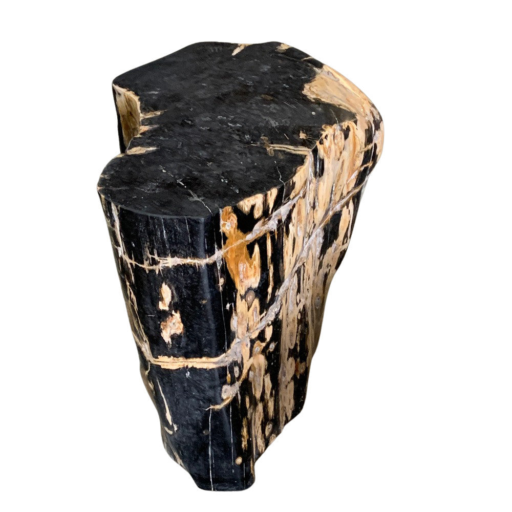 Petrified Wood Stump - Berbere Imports