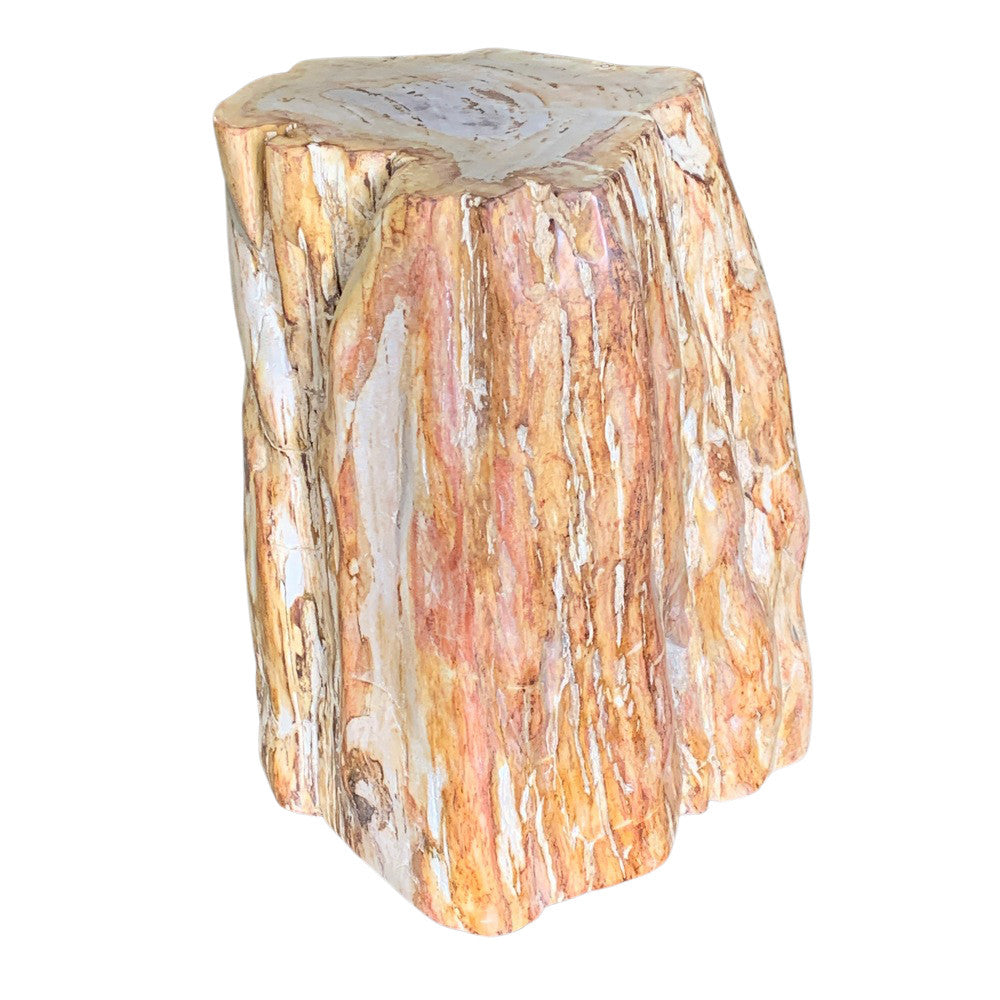 Petrified Wood Stump - Berbere Imports