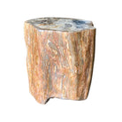 Petrified Wood Stump - Berbere Imports