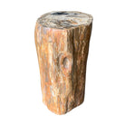 Petrified Wood Stump - Berbere Imports