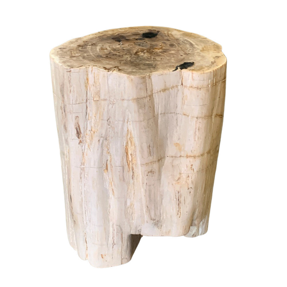 Petrified Wood Stump - Berbere Imports