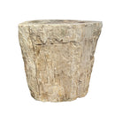 Petrified Wood Stump - Berbere Imports