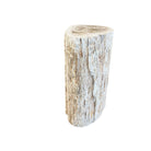 Petrified Wood Stump - Berbere Imports