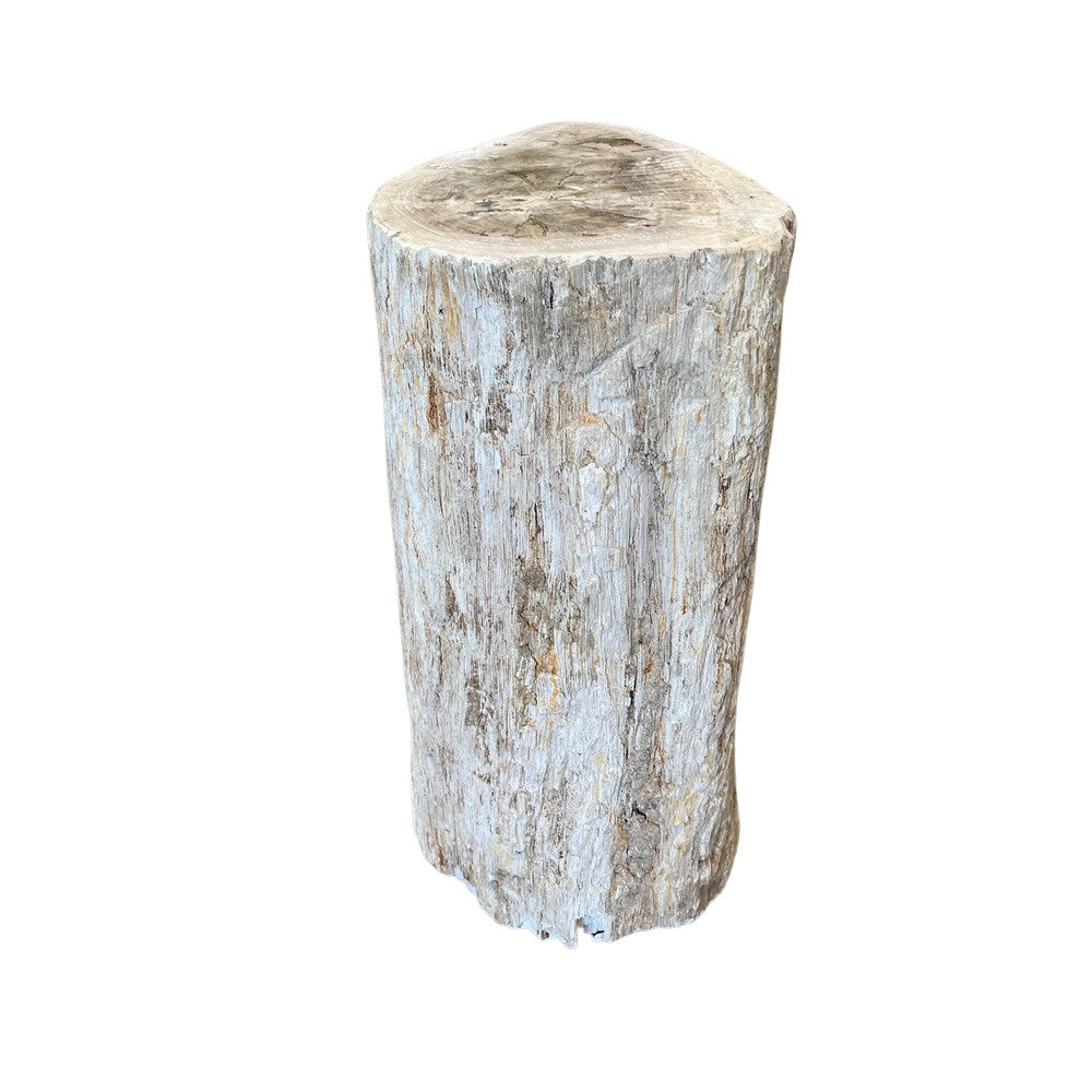 Petrified Wood Stump - Berbere Imports