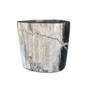 Petrified Wood Side Table - Berbere Imports