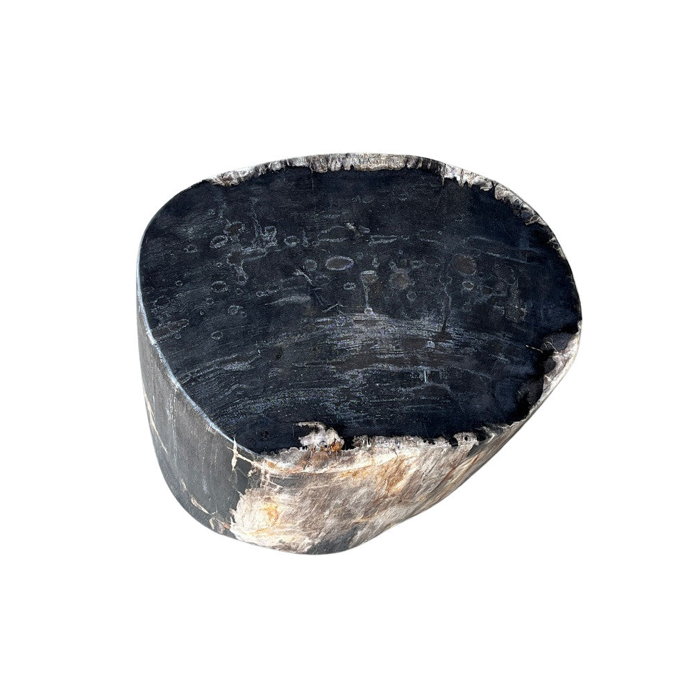 Petrified Wood Stool - Berbere Imports