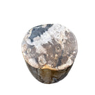 Petrified Wood Side Table - Berbere Imports