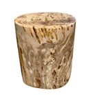 Petrified Wood Side Table - Berbere Imports
