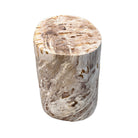 Petrified Wood Side Table - Berbere Imports