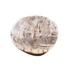 Petrified Wood Side Table - Berbere Imports