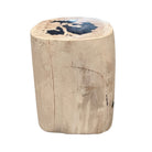 Petrified Wood Side Table - Berbere Imports