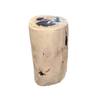 Petrified Wood Side Table - Berbere Imports