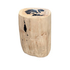 Petrified Wood Side Table - Berbere Imports