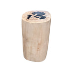 Petrified Wood Side Table - Berbere Imports