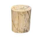 Petrified Wood Side Table - Berbere Imports
