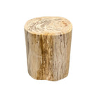 Petrified Wood Side Table - Berbere Imports