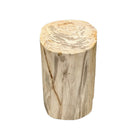 Petrified Wood Side Table - Berbere Imports