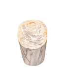 Petrified Wood Side Table - Berbere Imports