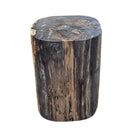 Petrified Wood Side Table - Berbere Imports