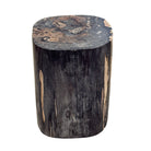 Petrified Wood Side Table - Berbere Imports