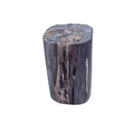 Petrified Wood Side Table - Berbere Imports