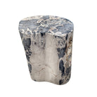 Petrified Wood Side Table - Berbere Imports