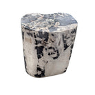 Petrified Wood Side Table - Berbere Imports