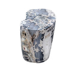 Petrified Wood Side Table - Berbere Imports