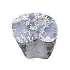 Petrified Wood Side Table - Berbere Imports