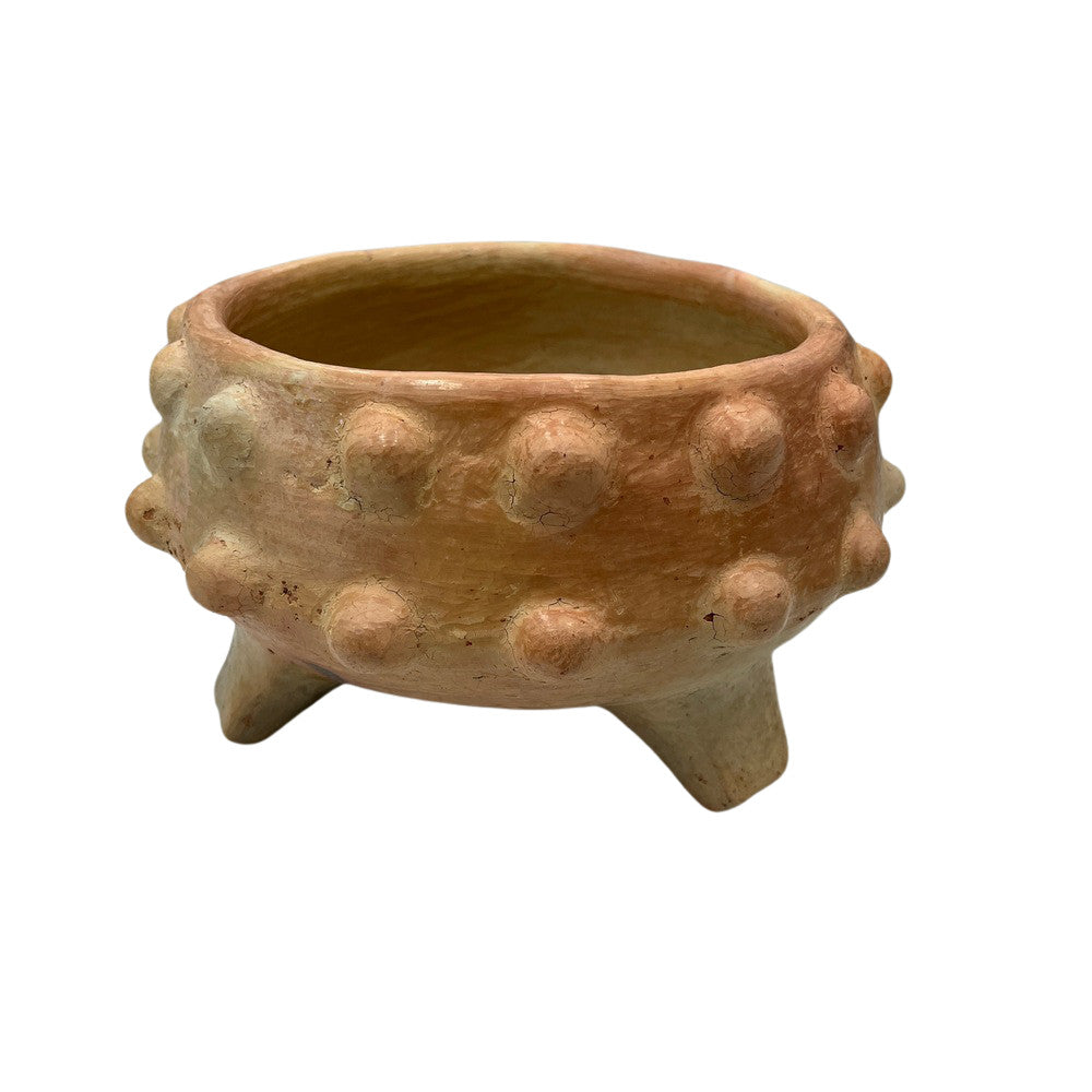 Sejnane Spiked Bowl - Berbere Imports